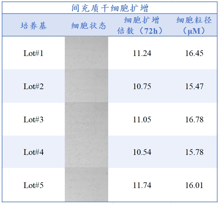 竞技宝官网生物MSC无血清培养工艺定制化服务